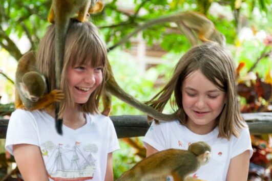 Monkeyland Tour – Punta Cana