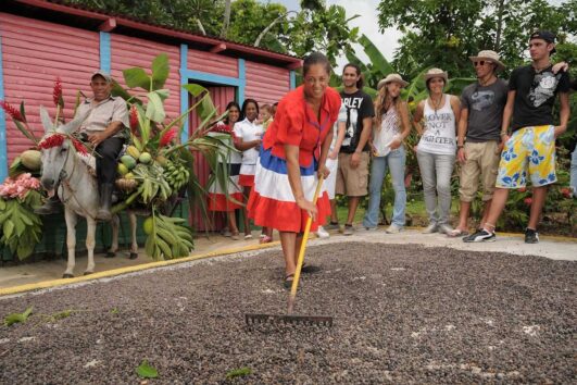 SAFARI HIGUEY CITY TOUR