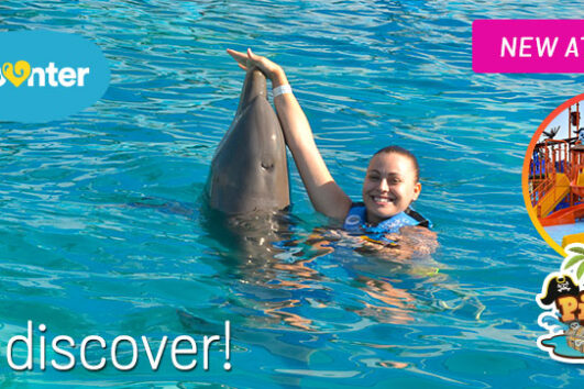 Dolphin Discovery Encounter