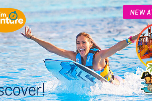 Dolphin Discovery Adventure